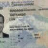 Alaska Fake ID