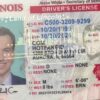 Illinois Fake ID