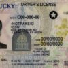 Kentucky Fake ID