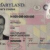 Maryland Fake ID