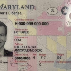 Maryland Fake ID