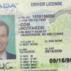 Nevada Fake ID