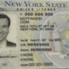 New York fake id