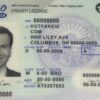 Ohio Fake ID