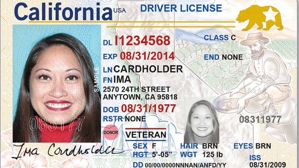 fake california id identical dmv polycarbonate