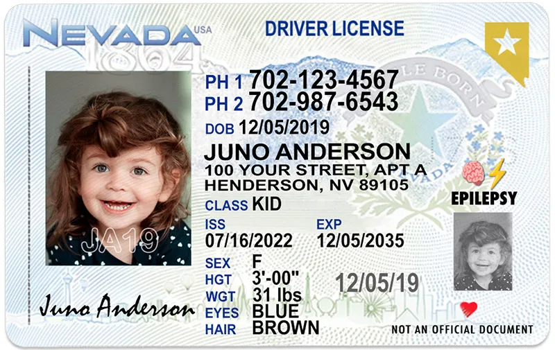 what are the security features of nevada driver's licenses