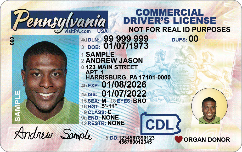 Nevada DMV fake ID replication